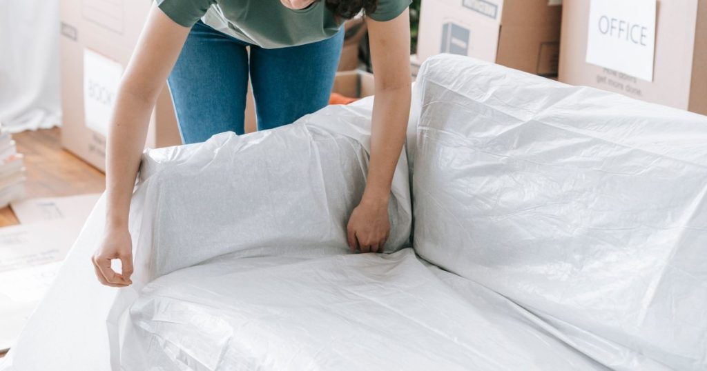 como preparar seu pet para uma mudança de casa