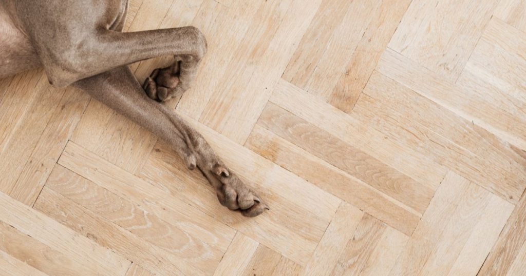 dicas para escolher o piso ideal para a casa