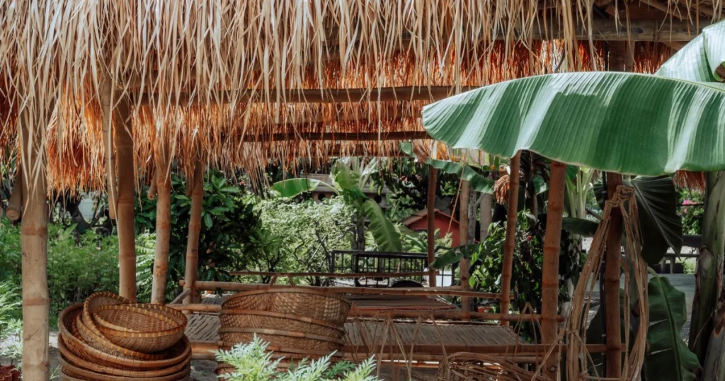 Dicas para um turismo sustentável: como viajar com consciência dicas para um turismo sustentável