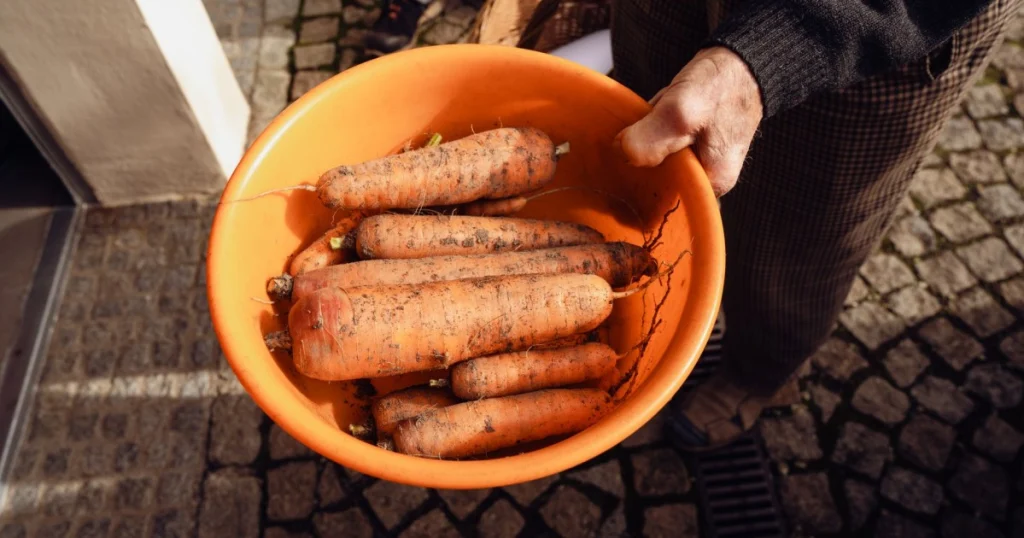 O que é comida de raiz: descubra receitas e dicas práticas o que é comida de raiz