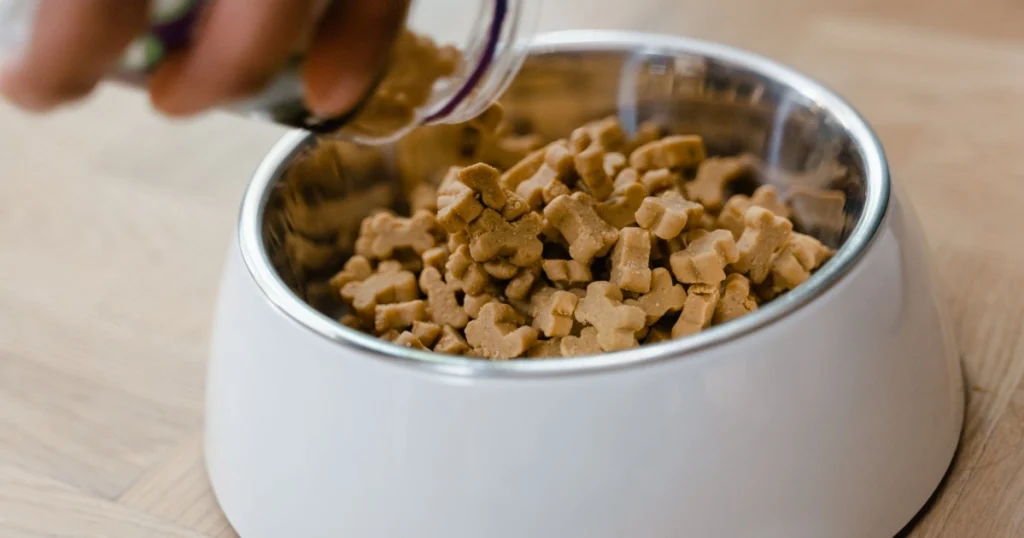 Os Benefícios da Alimentação Natural para Cães: Saúde e Bem-Estar os benefícios da alimentação natural para cães