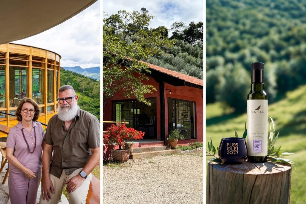 Azeite da Serra da Mantiqueira é premiado internacionalmente: ‘Oscar’ dos azeites