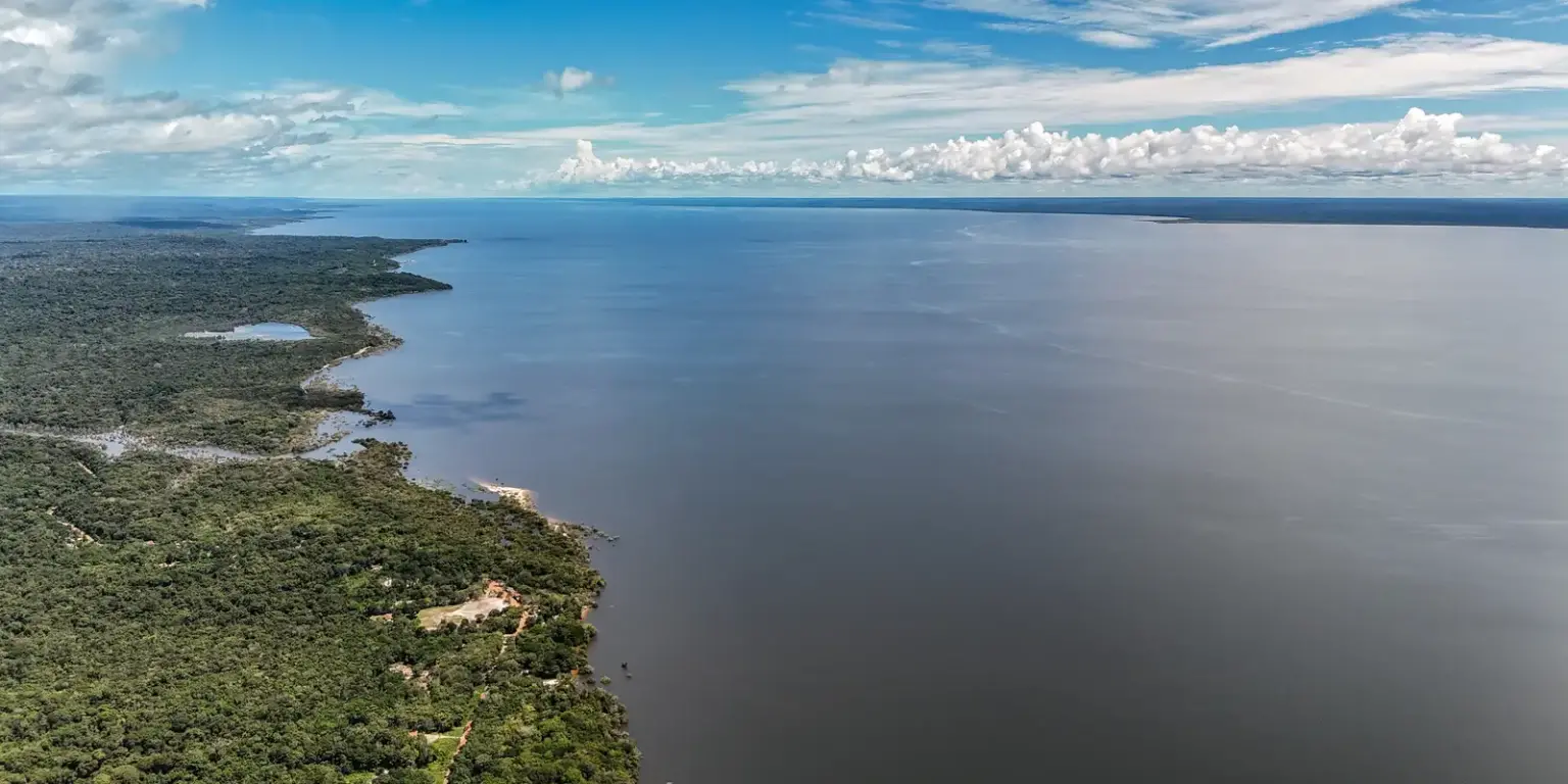 Comparativo dos Planos de Governo de Flávio Bolsonaro e Lula para o Meio Ambiente e Clima
