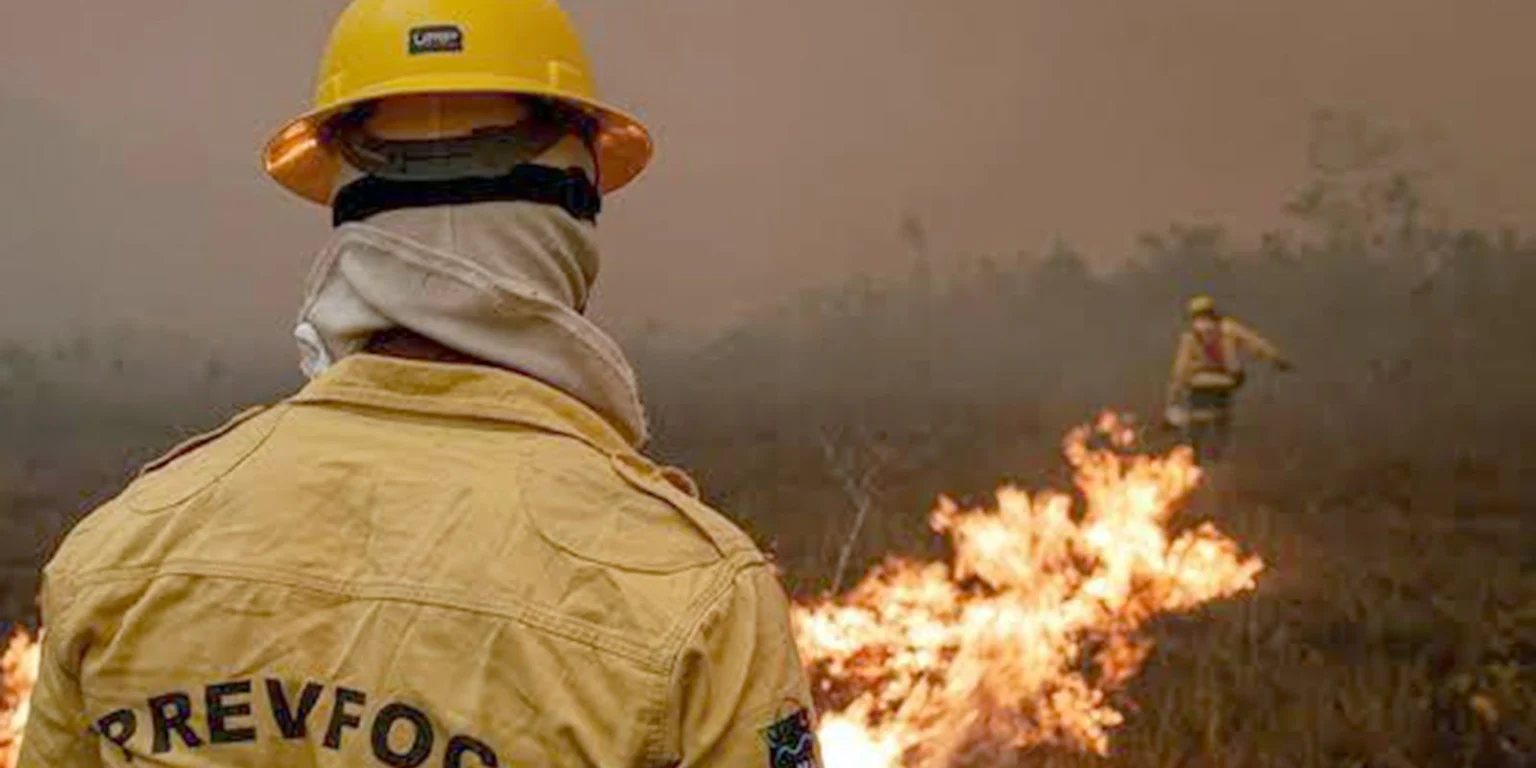 Força-tarefa no Amazonas reduz quantidade de focos de incêndio em ação eficaz