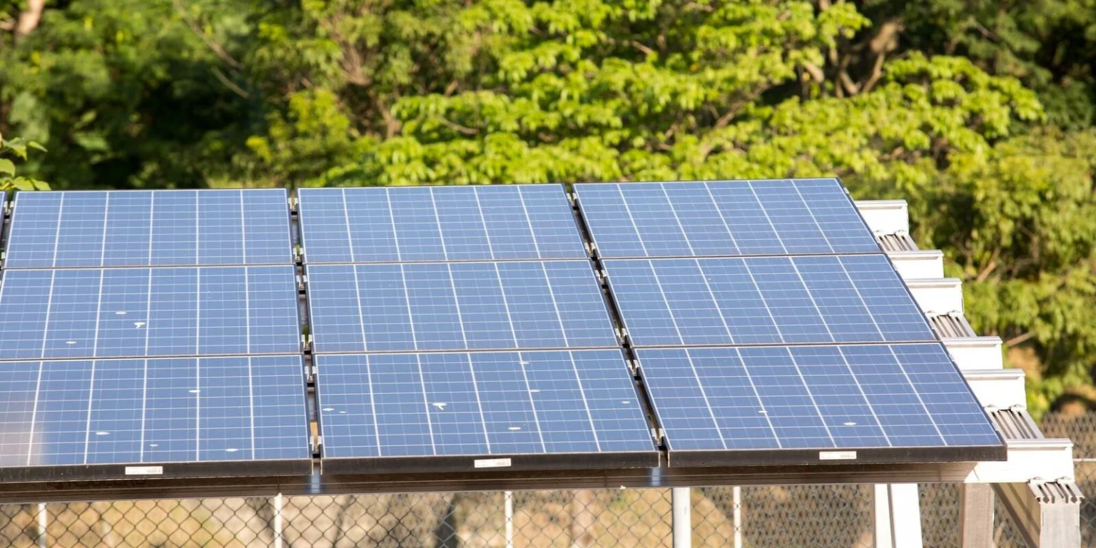 5º Leilão do Eco Invest Brasil Atrai Quase R$ 50 Bilhões em Investimentos Verdes