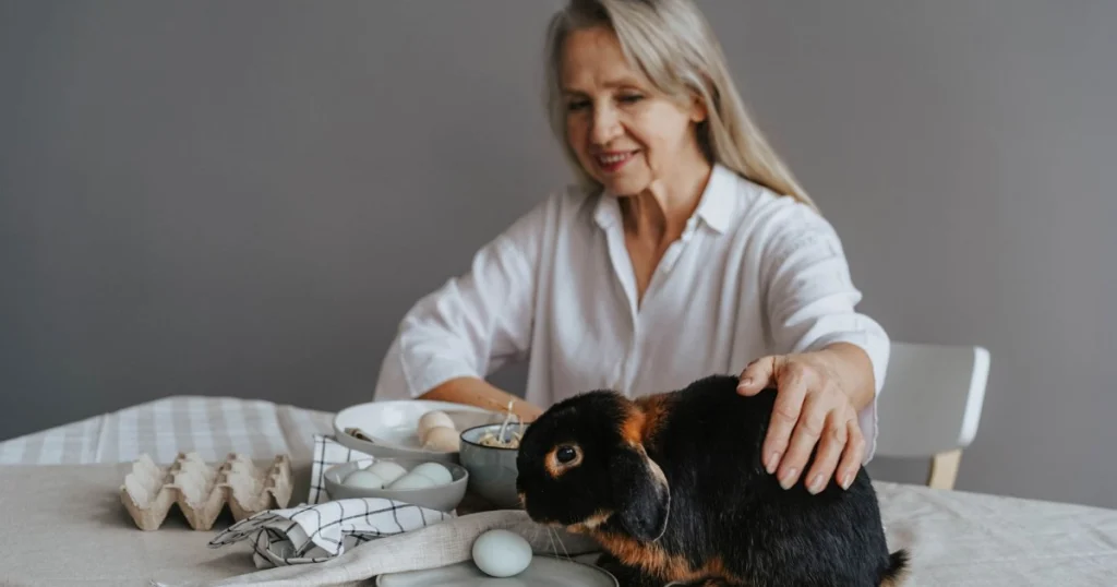 Como Cuidar de Pets na Terceira Idade: Dicas e Cuidados Essenciais como cuidar de pets na terceira idade