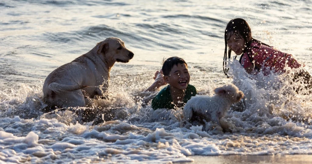 dicas para cães que têm medo de água