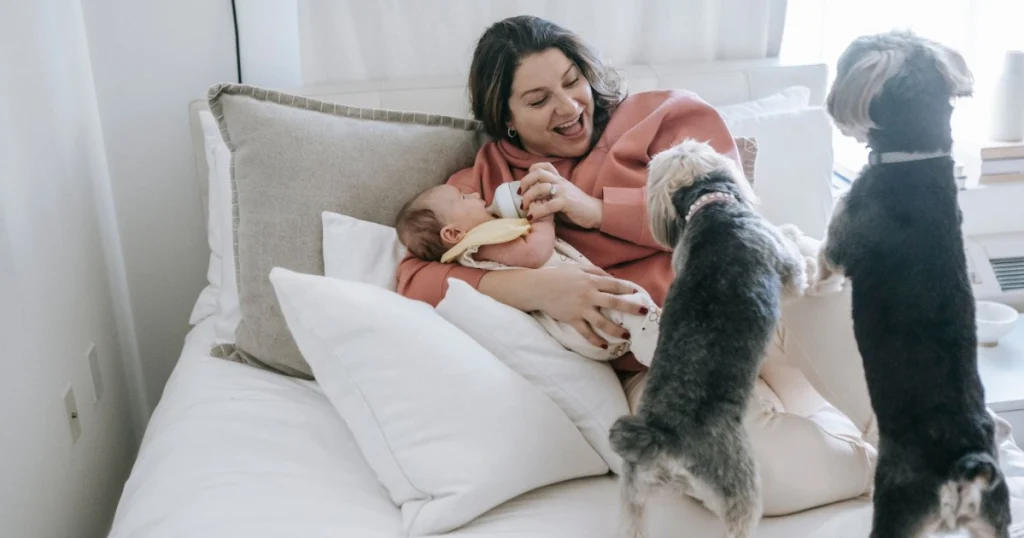 como preparar seu pet para a chegada de um bebê