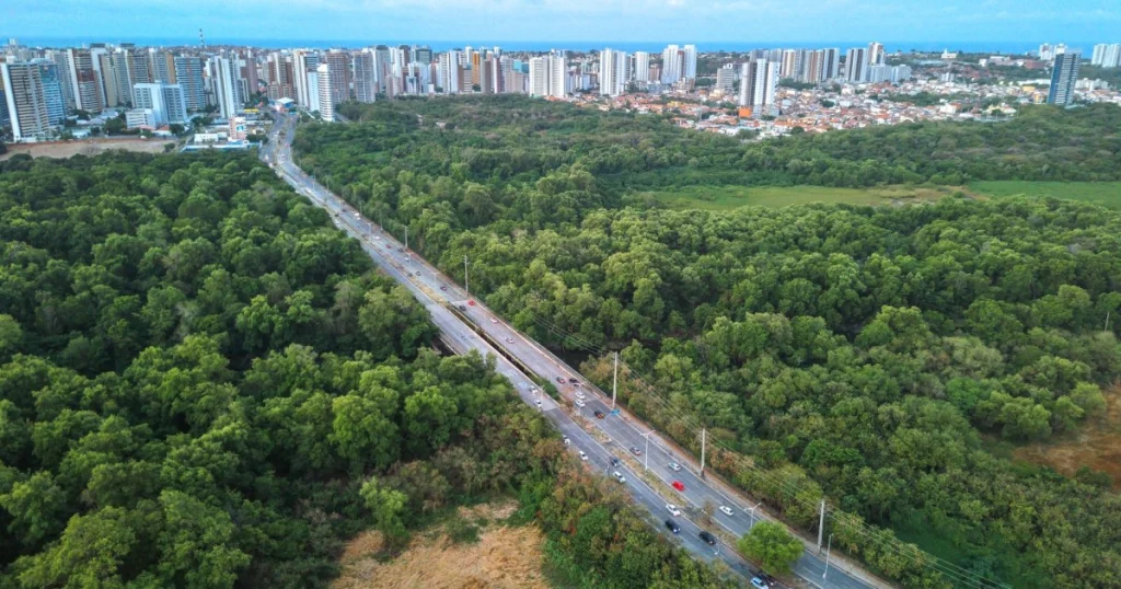 notícias sobre meio ambiente em Itapevi